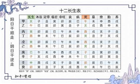 十长生|十二长生表及记忆方法